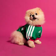 Mexico Pet Jersey